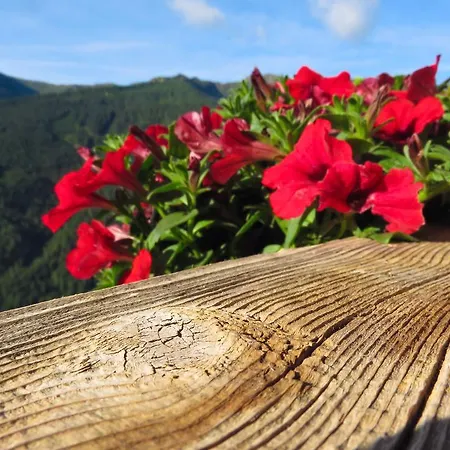 팜스테이 Bergbauernhof Ausserberglet *