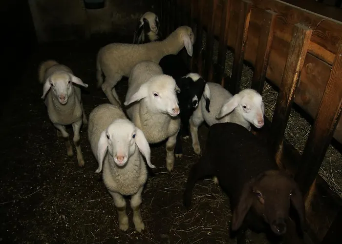 Bergbauernhof Ausserberglet * انرفلغراتن