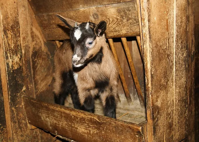 Agroturismo Bergbauernhof Ausserberglet