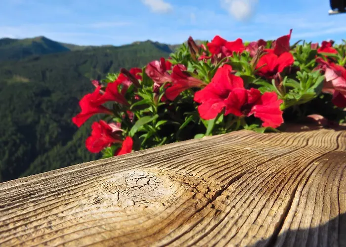 مزرعة للإقامة Bergbauernhof Ausserberglet *