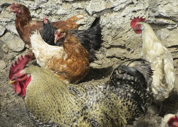 Bergbauernhof Ausserberglet مزرعة للإقامة