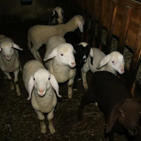 Bergbauernhof Ausserberglet * Innervillgraten