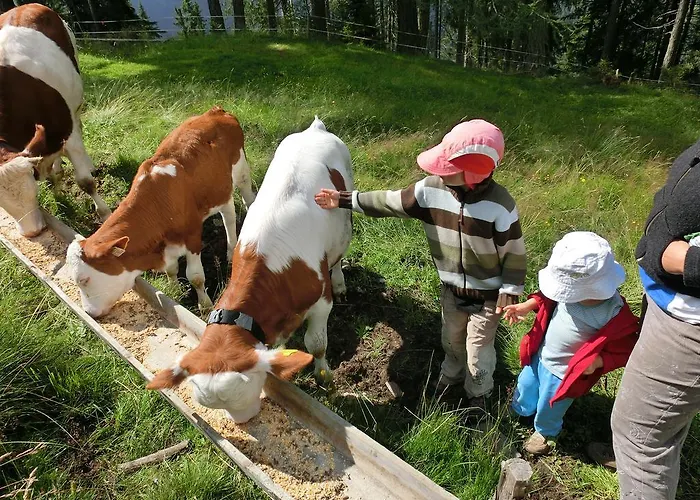 Farm stay Bergbauernhof Ausserberglet *