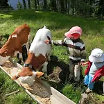 Farma Bergbauernhof Ausserberglet *