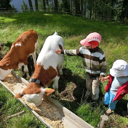 Séjour à la ferme Bergbauernhof Ausserberglet *